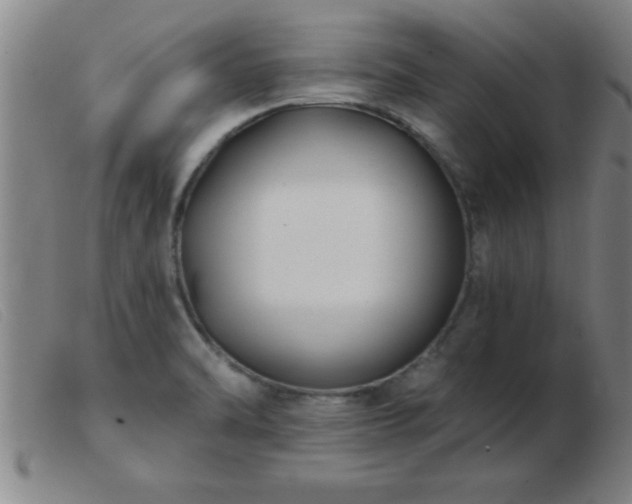 X0000103491470200809191911