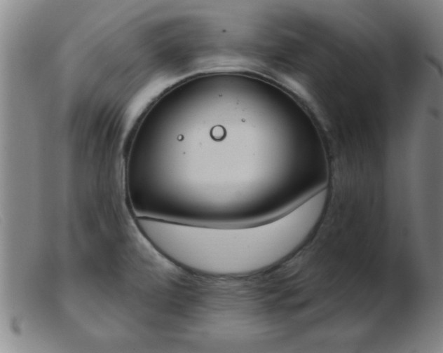 X0000103491472200809191911