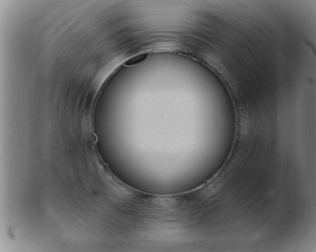 X0000103491473200809191911