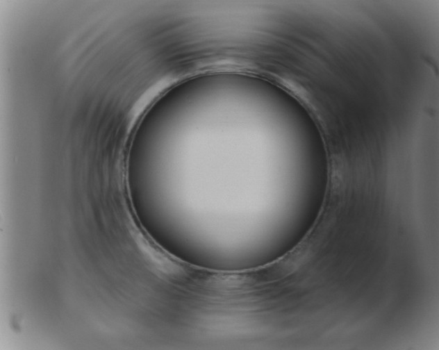 X0000103491474200809191911