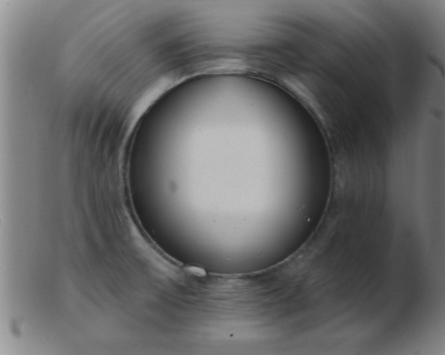 X0000103491475200809191911