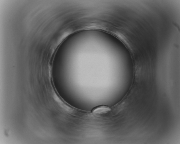 X0000103491476200809191911