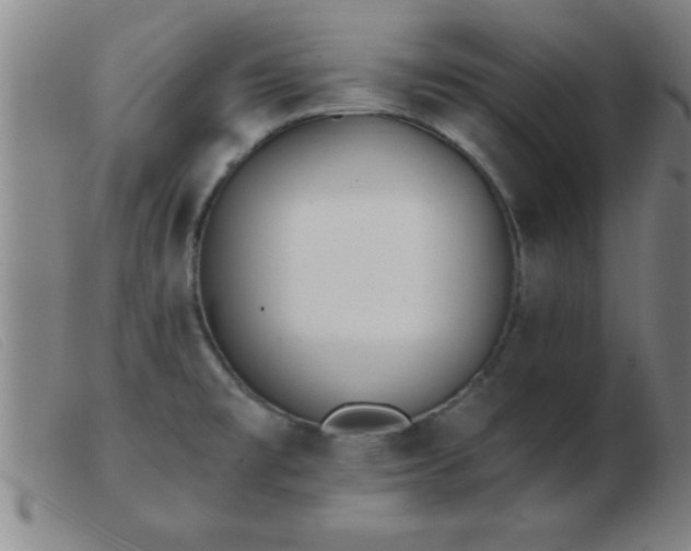 X0000103491477200809191911