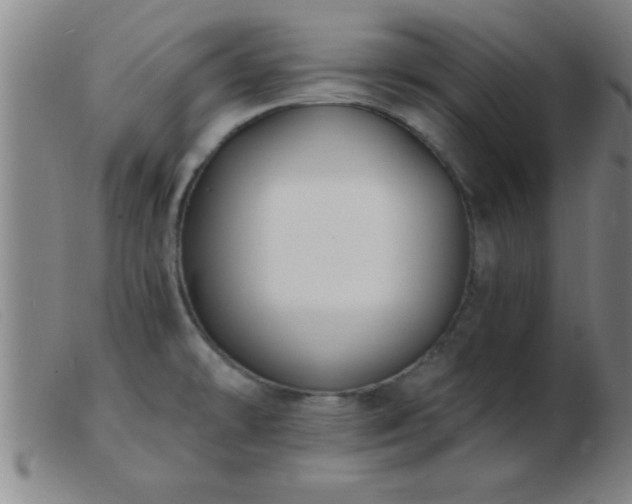 X0000103491478200809191911