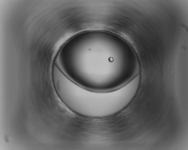 X0000103491480200809191911