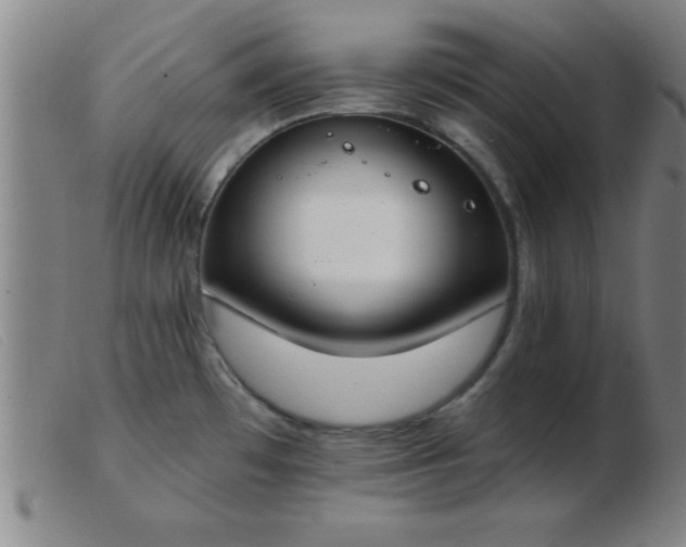 X0000103491481200809191911