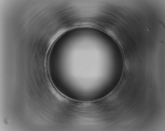 X0000103491482200809191911