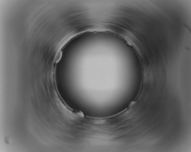 X0000103491484200809191911