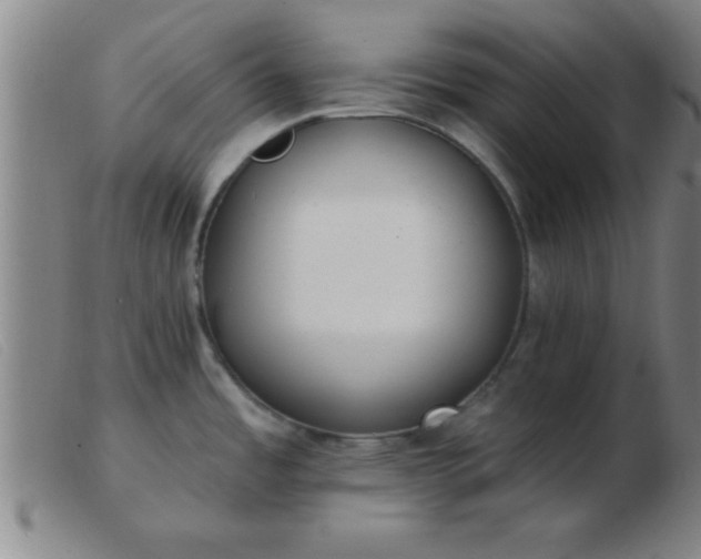 X0000103491485200809191911