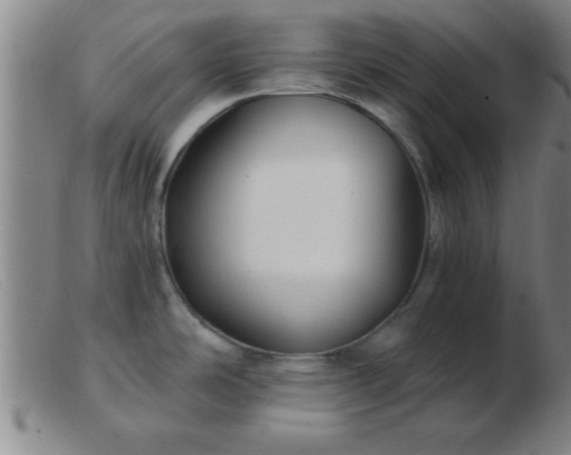 X0000103491486200809191911