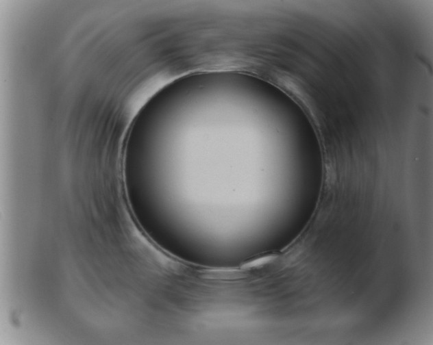 X0000103491487200809191911