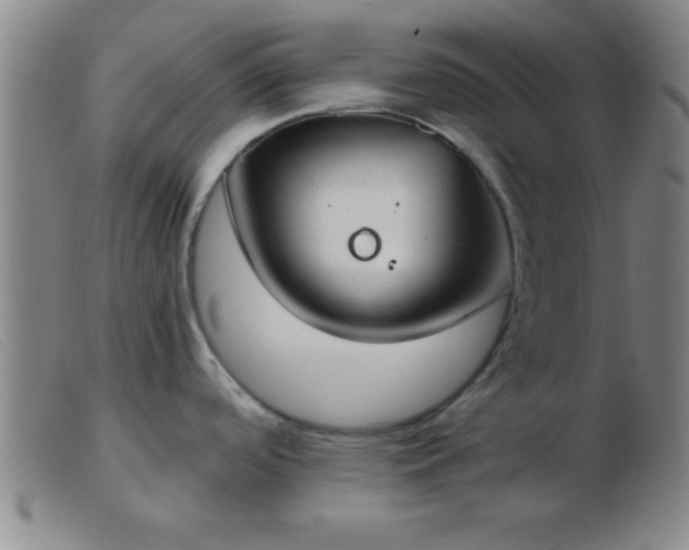 X0000103491488200809191911