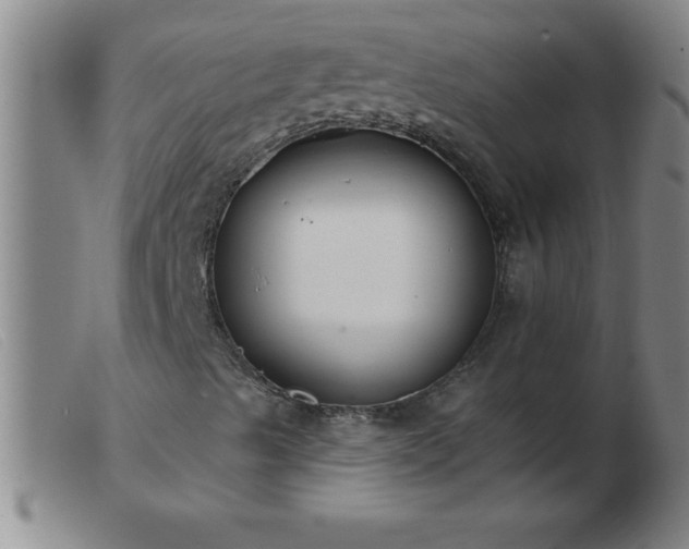 X0000103491489200809191910