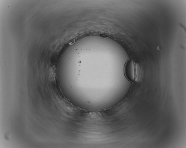 X0000103491491200809191910