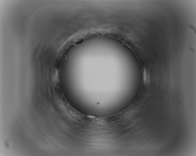 X0000103491492200809191910