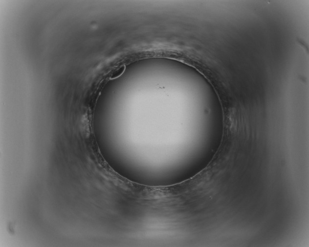 X0000103491493200809191910