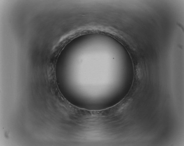 X0000103491494200809191910