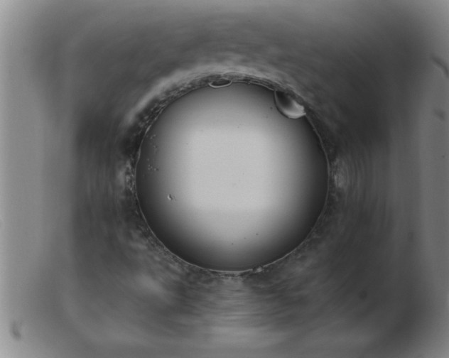 X0000103491495200809191910