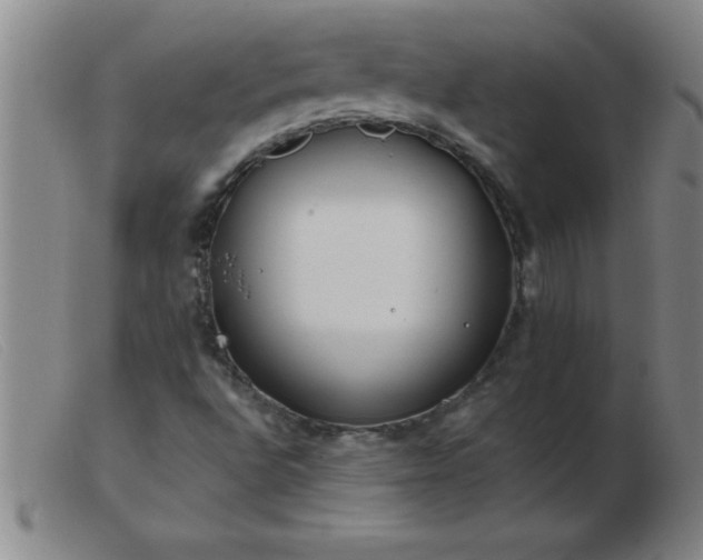 X0000103491496200809191910