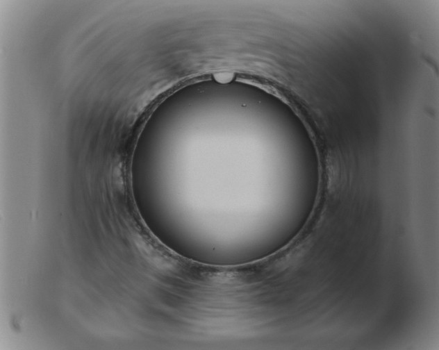 X0000103491497200809191910