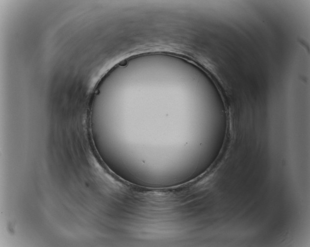 X0000103491500200809191910