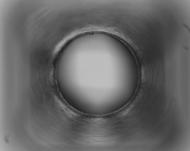 X0000103491502200809191910