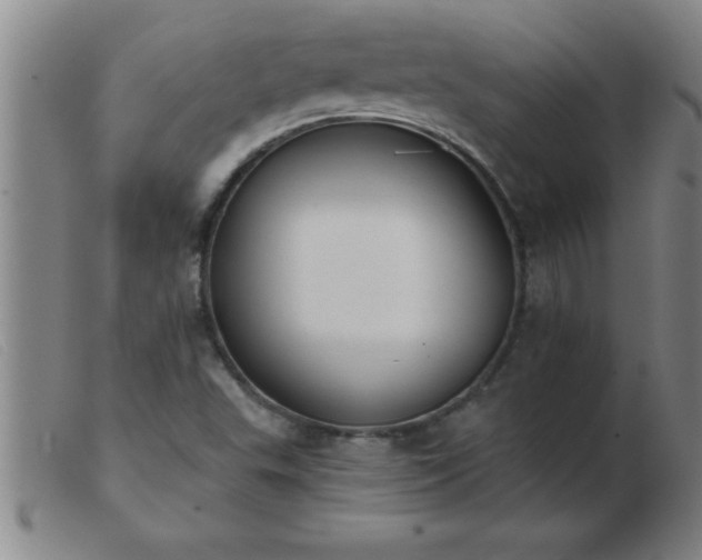 X0000103491503200809191910