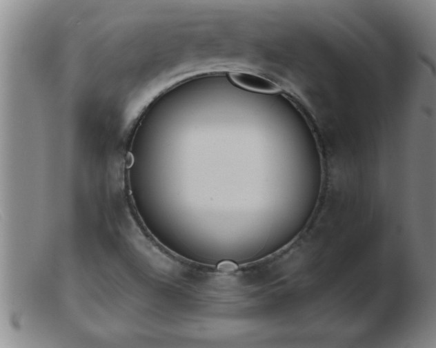 X0000103491504200809191910