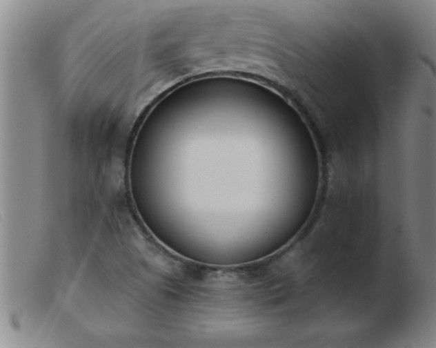 X0000103491505200809191910