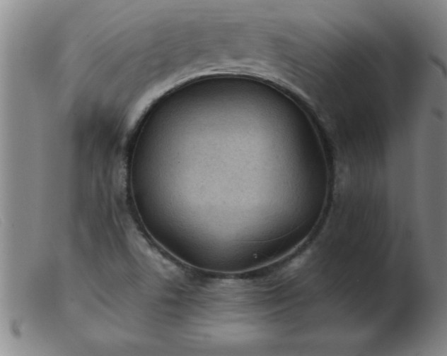 X0000103491506200809191910