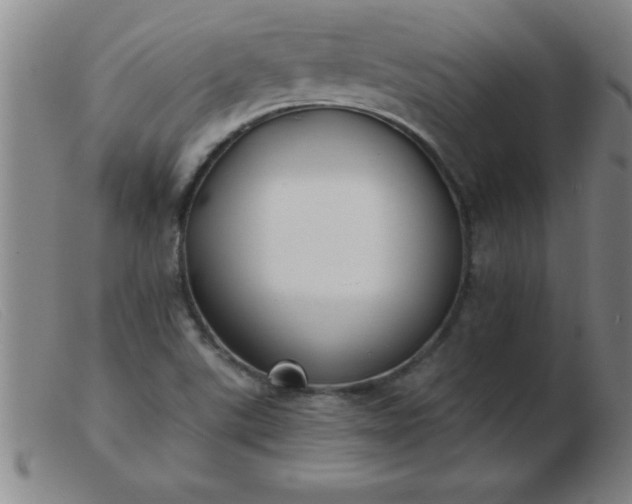 X0000103491507200809191910