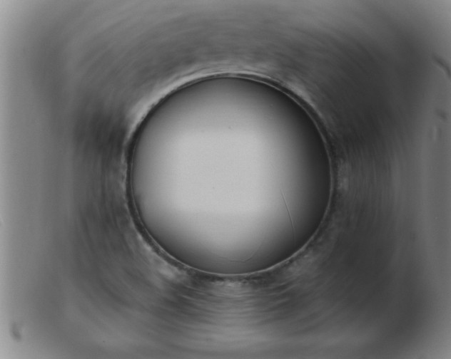 X0000103491508200809191910