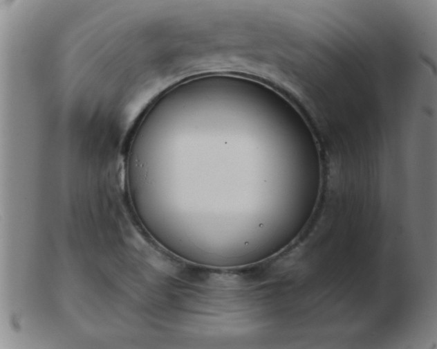 X0000103491509200809191910