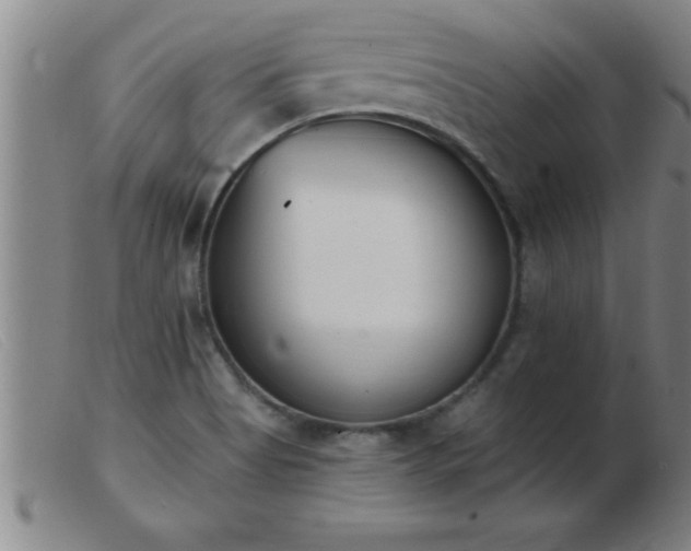 X0000103491513200809191910