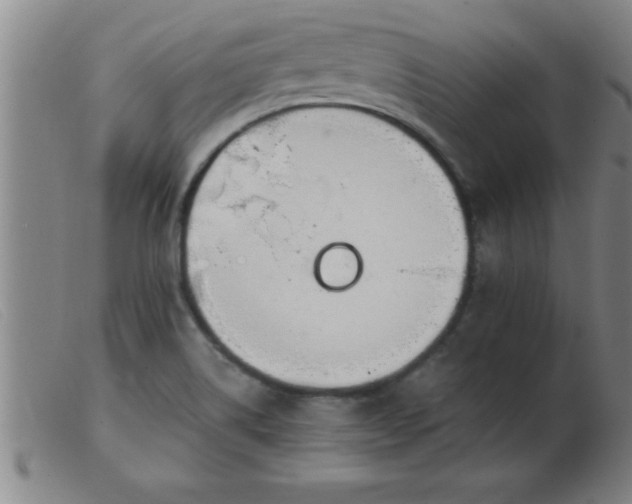 X0000103491514200809191910