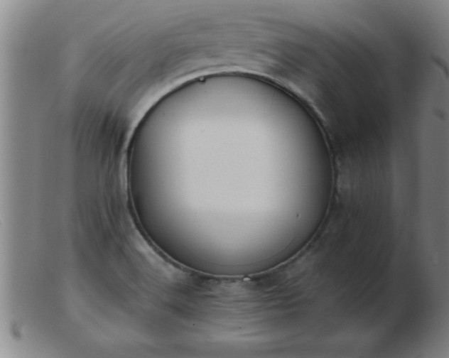 X0000103491516200809191910