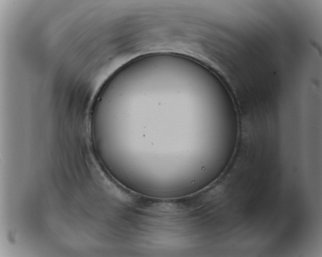 X0000103491517200809191910