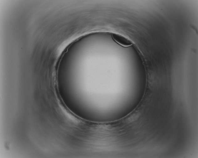 X0000103491519200809191910