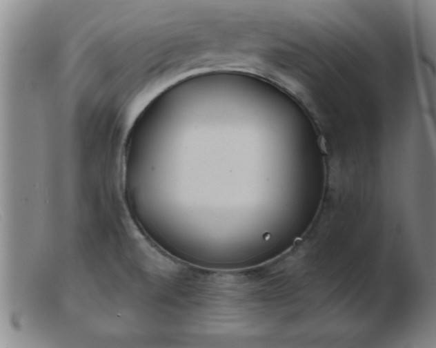 X0000103491520200809191910