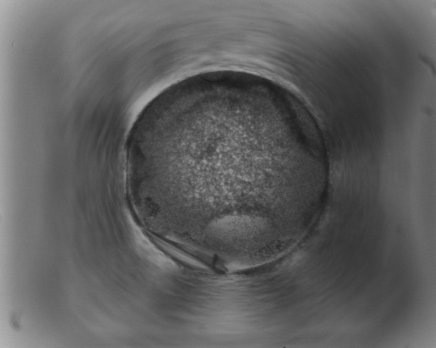 X0000103491522200809191910