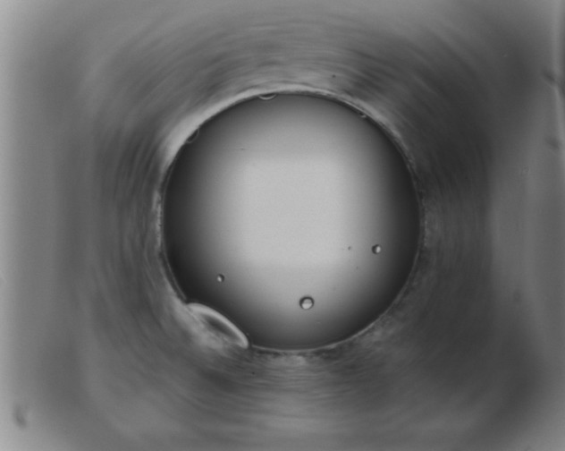 X0000103491524200809191910