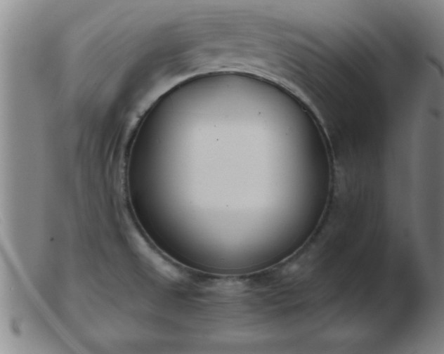 X0000103491525200809191910