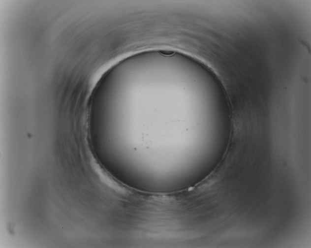 X0000103491526200809191910