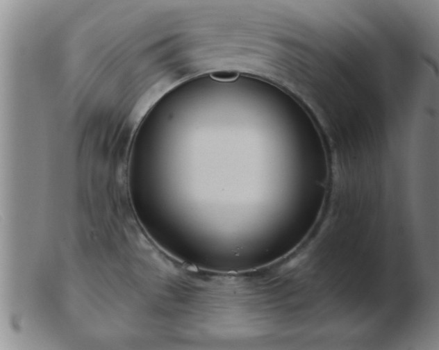 X0000103491529200809191910