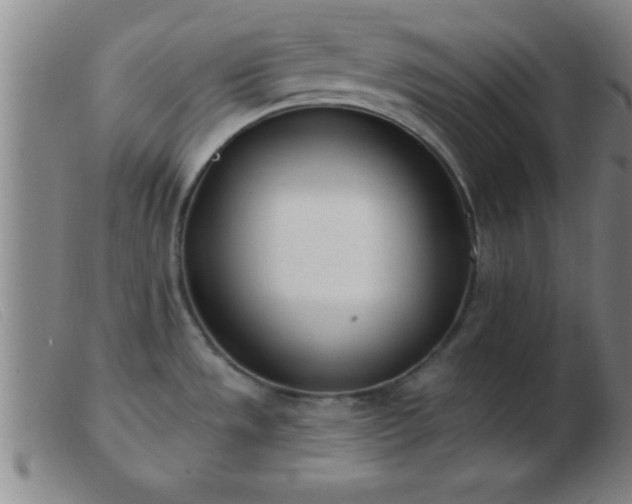 X0000103491533200809191910