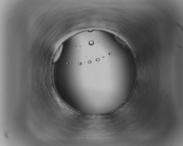 X0000103491534200809191910