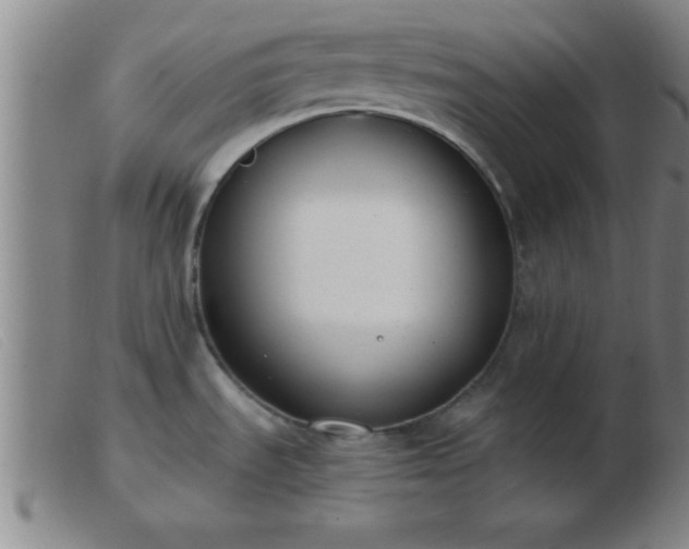 X0000103491535200809191910