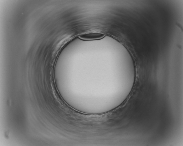 X0000103490001200809262001