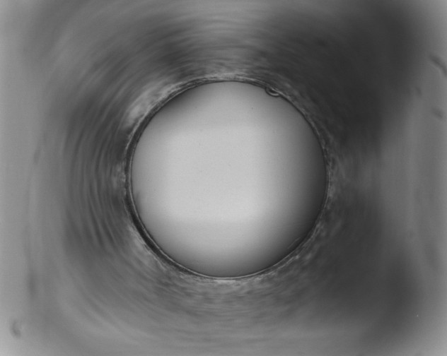 X0000103490002200809262001