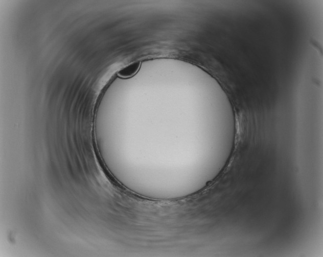 X0000103490003200809262001